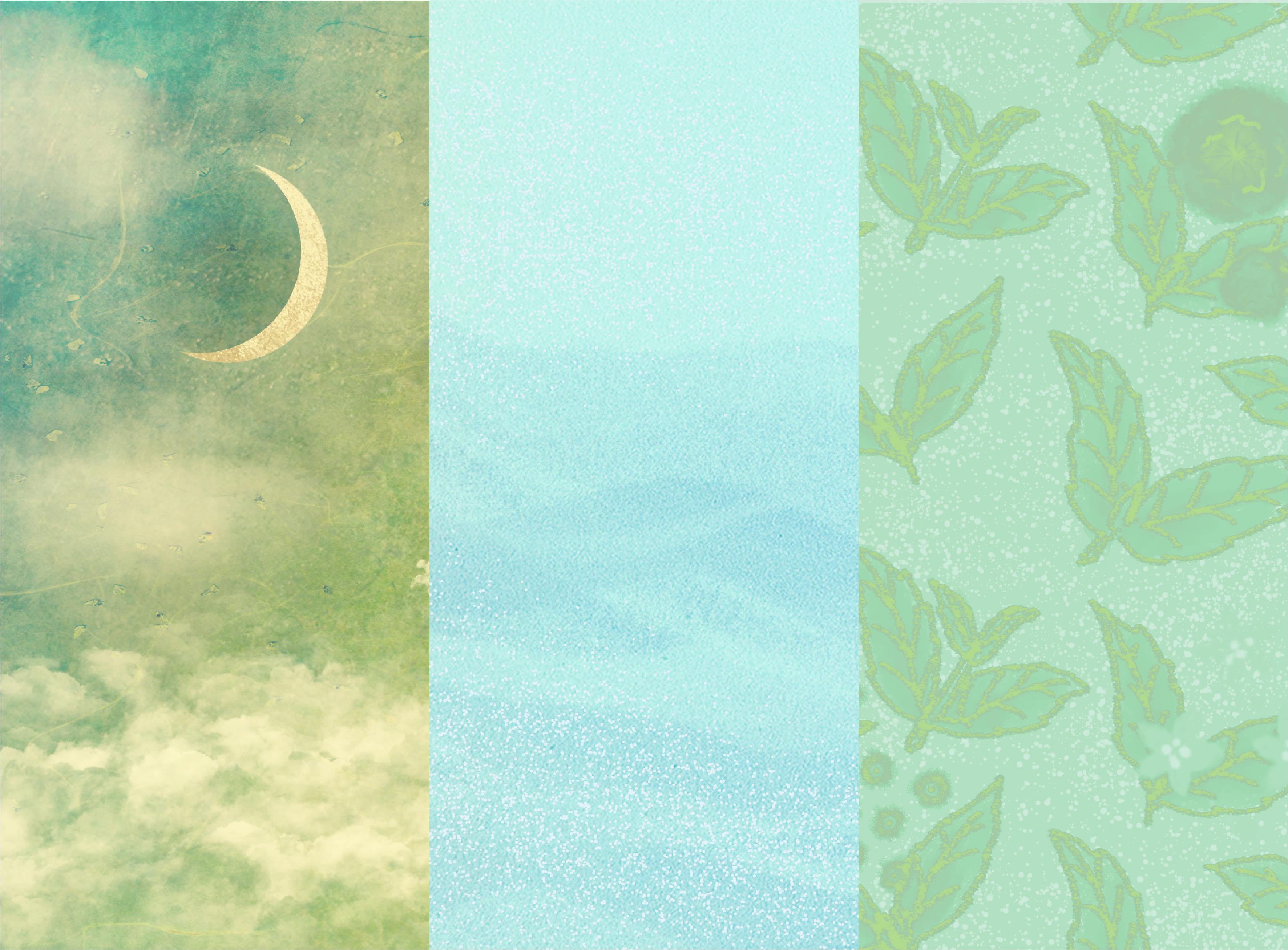 Personal Portfolio Images